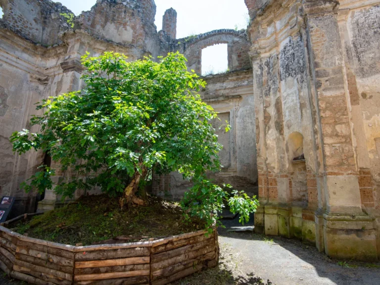 Explore the Ruins of Antica Monterano
