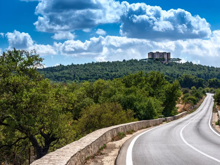 Road to Castel del Monte in Apulia, Italy