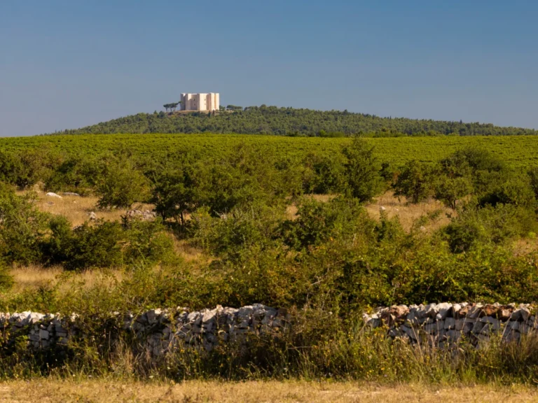 View of Castel del Monte in Apulia from distance